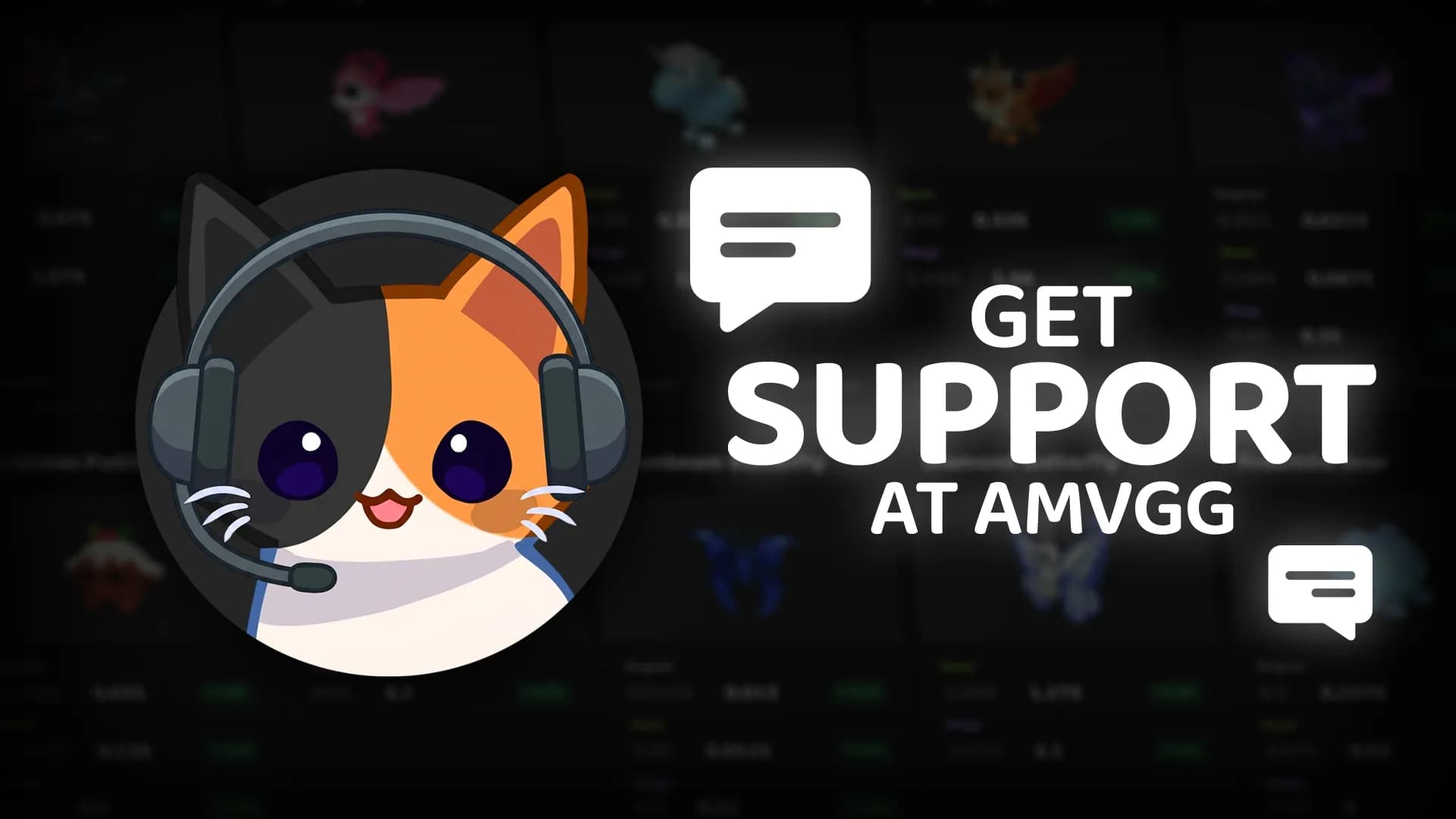 How to contact the AMVGG Support Team