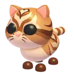 Catte