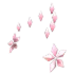 Flower Aura