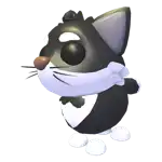 Tuxedo Cat